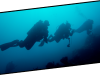 divers-underwater